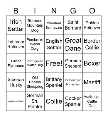 Working, Herding, and Sporting Dog Breeds Bingo Card