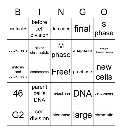 Chapter 11 Cell Division Bingo Card