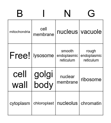 Cell Organelles Bingo Card