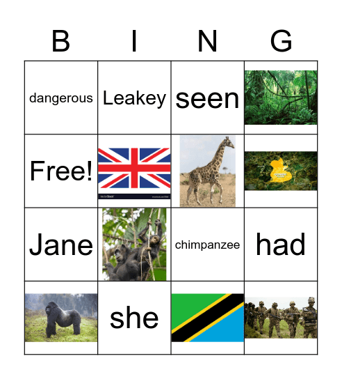 Jane Goodall Bingo Card