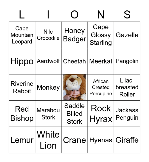 Safari B-I-N-G-O! Bingo Card