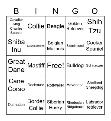 Pet Bingo Card