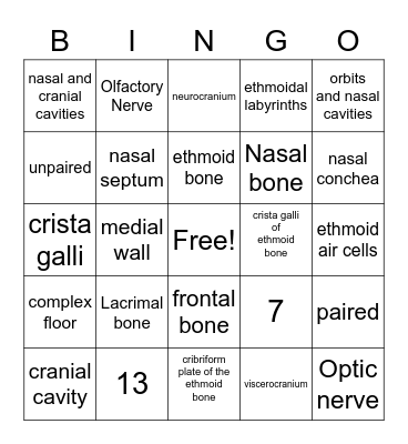 Ethmoid Bone Bingo Card