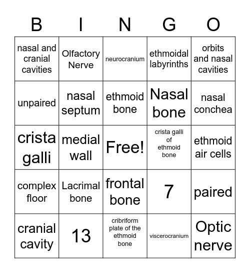 Ethmoid Bone Bingo Card