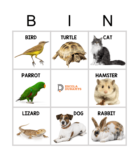 PETS Bingo Card