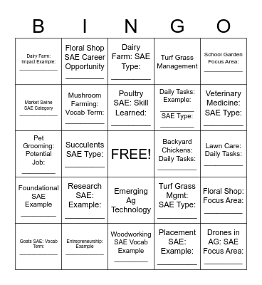 SAE Areas Bingo Card