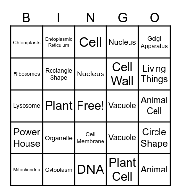 Animal Cell Vs. Plant Cell Bingo Card