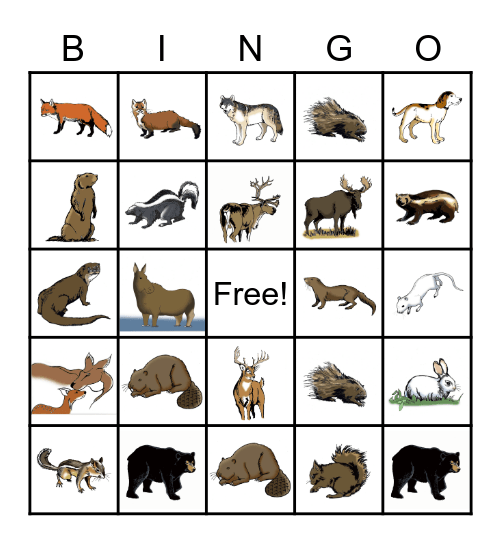 Animal Bingo Card