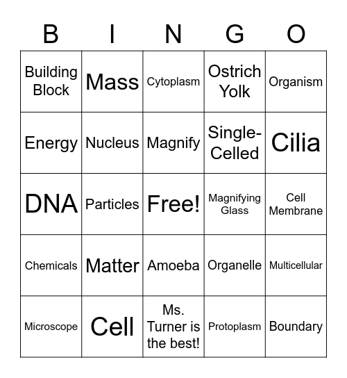 Cell Vocab Bingo Card