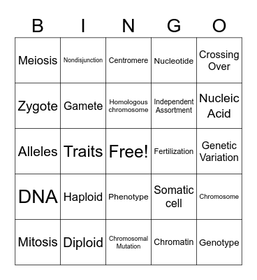 Cell Division Bingo Card
