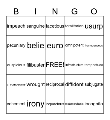 Vocabulary Words Bingo Card