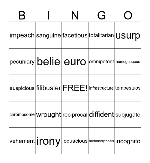 Vocabulary Words Bingo Card