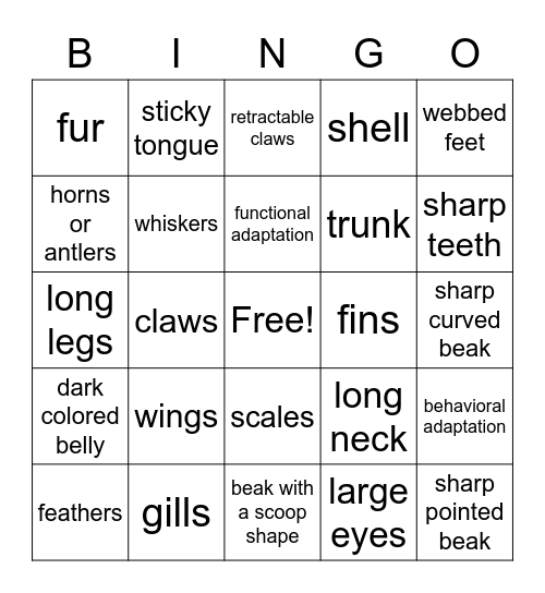 ADAPTATIONS Bingo Card