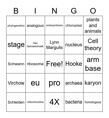 Review thus far Bingo Card
