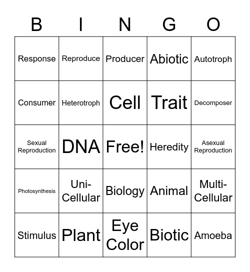 Characteristics of Life Bingo Card