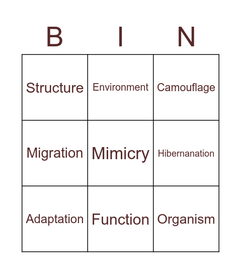 Adaptations Bingo Card