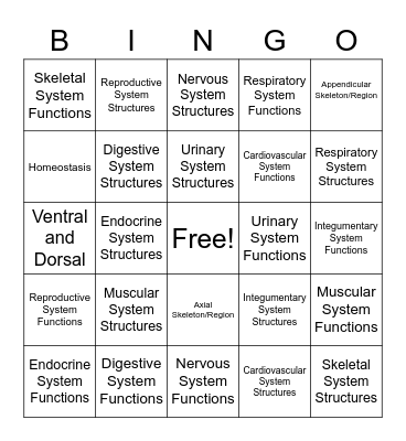 Body Systems Plus Bingo Card