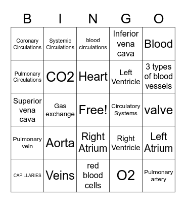 CIRCULATORY BINGO Card