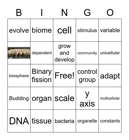 Test 1 Review Bingo Card