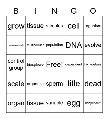Test 1 Bingo Card