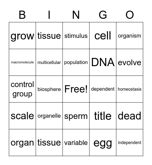 Test 1 Bingo Card