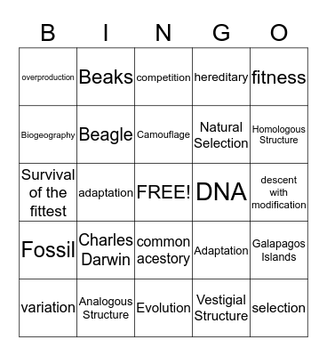 Evolution Bingo Card