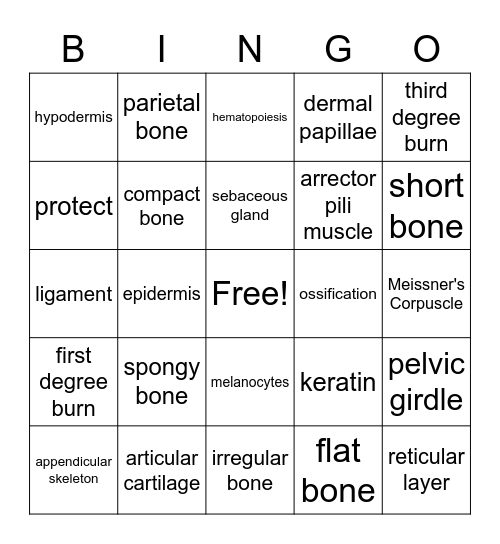 Integumentary and Skeletal Systems Bingo Card