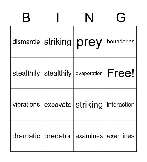 Tarantula Scientist Vocabulary #1 Bingo Card