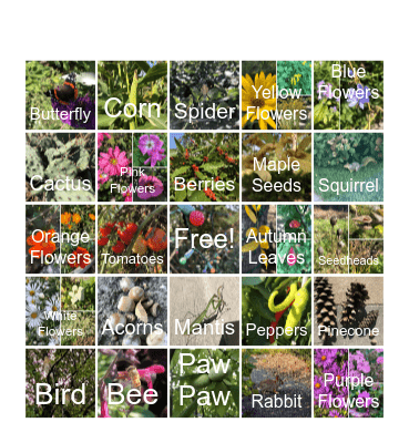 Garden BINGrOw Bingo Card