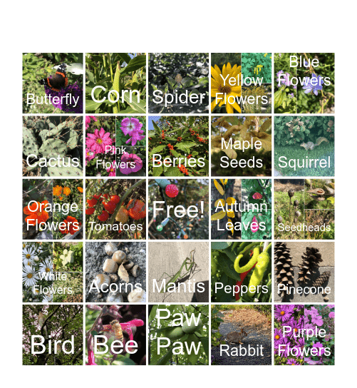 Garden BINGrOw Bingo Card