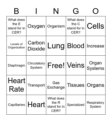 CFA 1 Review Bingo Card