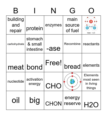 Chemistry of Life Test Review Bingo Card