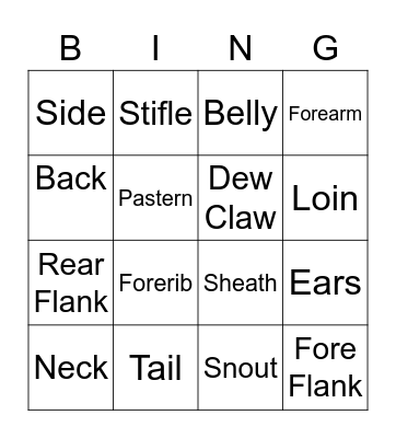 Parts of a pig Bingo Card