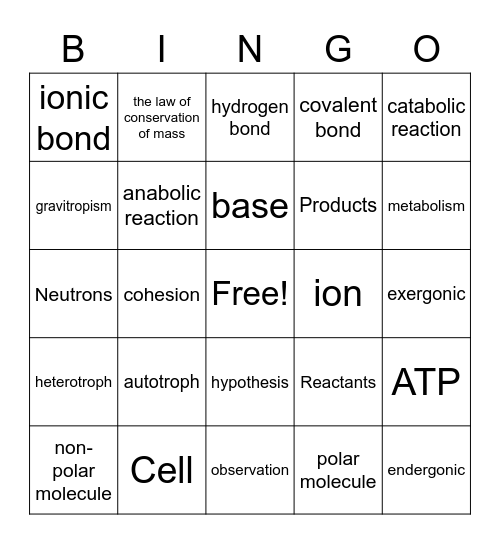 Review 2 Bingo Card