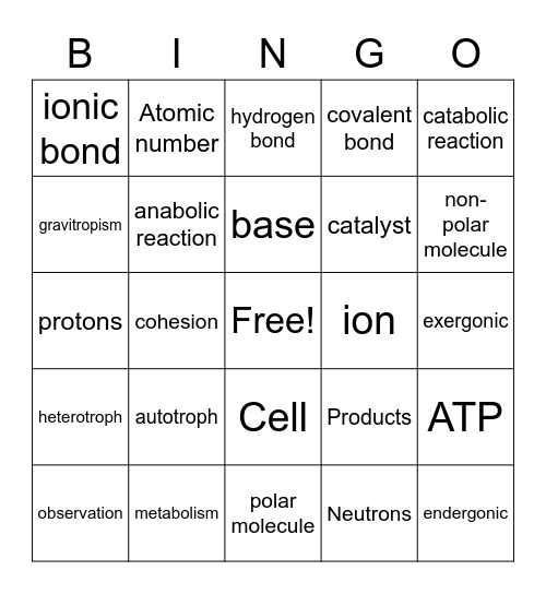 Review 3 Bingo Card