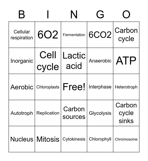 Chapter 2 - 7th grade Science Bingo Card