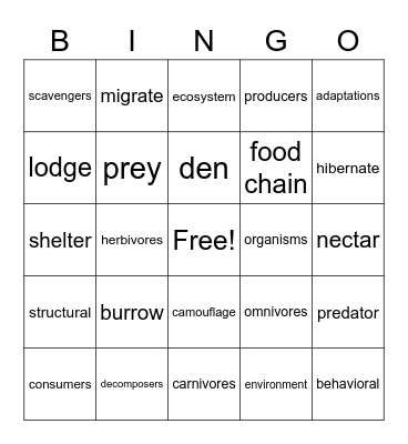 Science Animal Adaptations Bingo Card