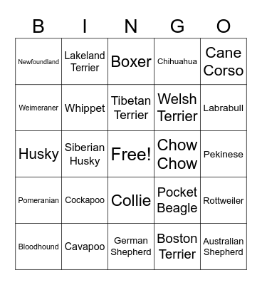 Aub Bingo: Bingo Card