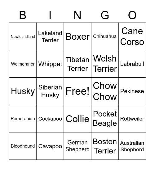 Aub Bingo: Bingo Card