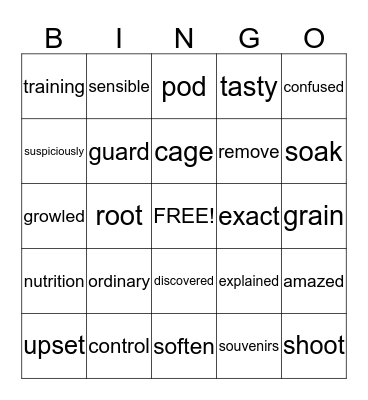 Vocabulary Bingo Card