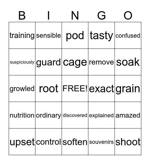 Vocabulary Bingo Card