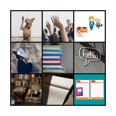 B I N G O Bingo Card