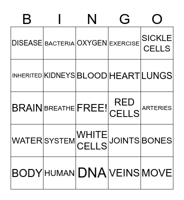 CIRCULATORY SYSTEM Bingo Card