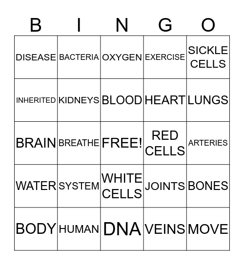 CIRCULATORY SYSTEM Bingo Card