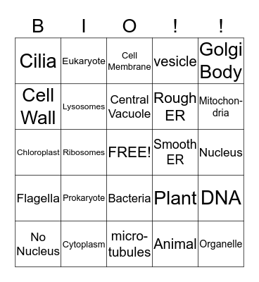 Cell Organelles Bingo Card