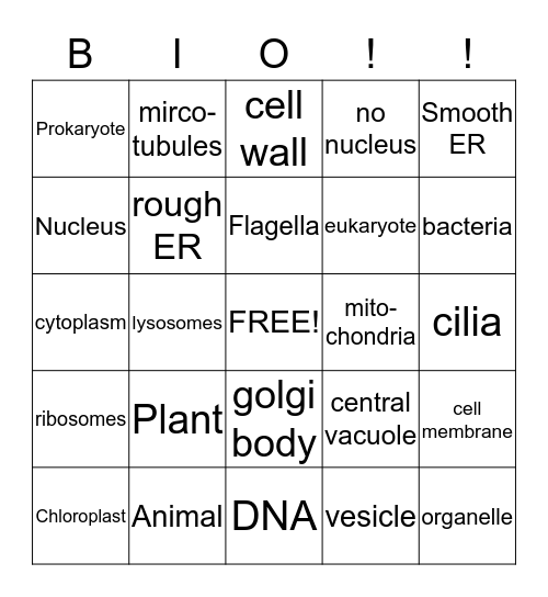 Cell Organelle Bingo Card