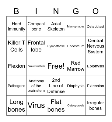 A&P 1 Final Review #2 Bingo Card