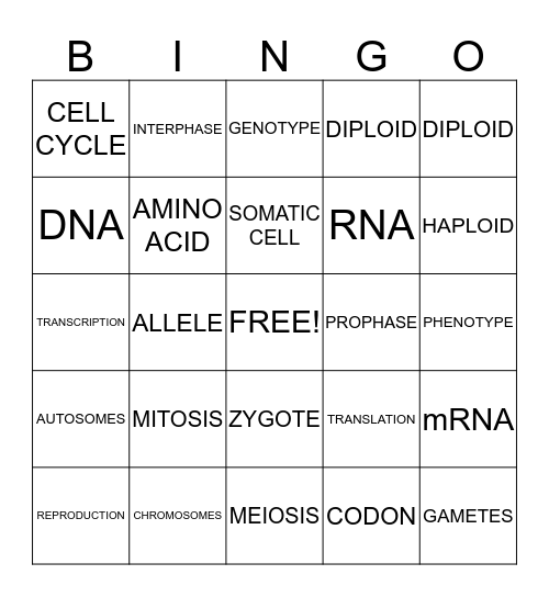 MITOSIS, MEIOSIS, AND PROTEIN SYNTHESIS Bingo Card