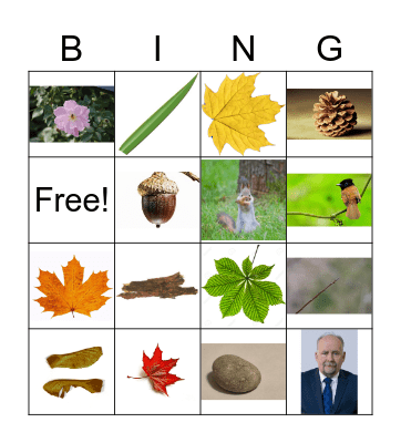 Autumn Scavenger Hunt Bingo Card