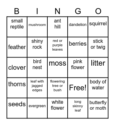 NATURE BINGO Card